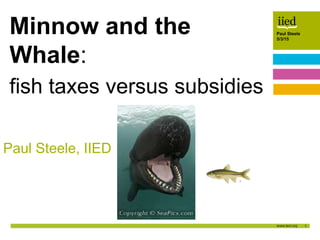 1
Paul Steele
5/3/15Author name
Date
Paul Steele
5/3/15
Paul Steele, IIED
Minnow and the
Whale:
fish taxes versus subsidies
 