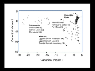 Earliest O. mykissevolved around the Gulf of California & dispersed northReached Columbia River 32-50K years ago?Columbia Oregon Desert BasinsKlamathSacramentoSan Joaquin Gulf of California