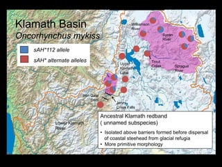 Are Extant Distributions  Always About Geology?Life-history (e.g, ability to migrate, environmental tolerance) makes a differenceWhat about biotic interactions?