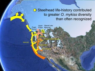 100% Susceptible Co-evolution with Diseases & ParasitesWilliamson RiverSycan RiverCeratomyxashastaTrout CreekUpper Klamath LakeSprague River100% Susceptible Intermediate resistanceIron Gate DamJenny Creek Falls100% ResistantLower Klamath River100% Resistant