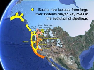 Reconnection of Upper Klamath Basin to the Pacific allowed invasion C. shastaand C. shasta resistant O. mykissdisplacing earlier formWilliamson RiverSycan RiverTrout CreekUpper Klamath LakeSprague RiverIron Gate DamJenny Creek FallsLower Klamath River