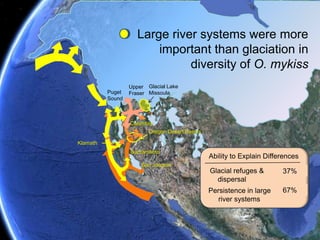 Steelhead life-history contributed to greater O. mykissdiversity than often recognizedGlacial Lake MissoulaUpper FraserPuget Sound?Columbia Oregon Desert BasinsKlamathSacramentoSan Joaquin 