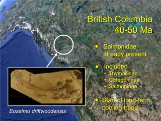 British Columbia40-50 Ma  Salmonidae already presentIncludedThymallinae