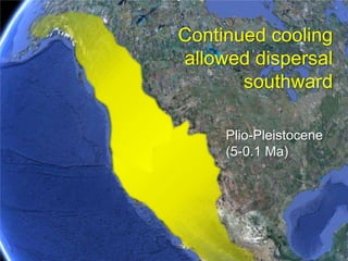SalmoninaeStart of long-term cooling trend Eosalmo driftwoodensis
