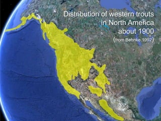 Continued coolingallowed dispersalsouthwardPlio-Pleistocene (5-0.1 Ma) 