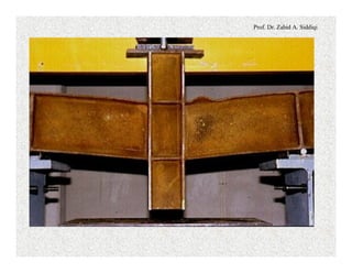 Prof. Dr. Zahid A. Siddiqi
 