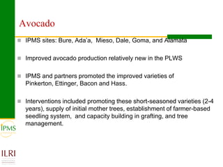 Market oriented developmental changes in the IPMS pilot learning woredas (PLWs)