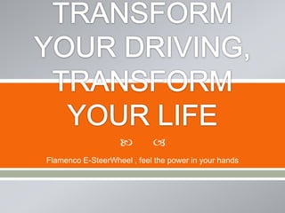         
Flamenco E-SteerWheel , feel the power in your hands
 