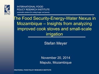 INTERNATIONAL FOOD POLICY RESEARCH INSTITUTE
The Food Security-Energy-Water Nexus in
Mozambique – Insights from analyzing
improved cook stoves and small-scale
irrigation
Stefan Meyer
November 20, 2014
Maputo, Mozambique
 