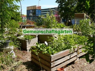 Gemeinschaftsgärten
 
