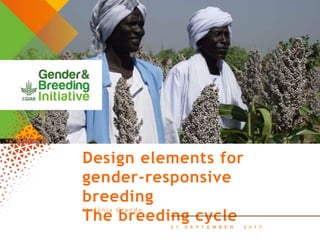 Design elements for gender-responsive breeding: The breeding cycle