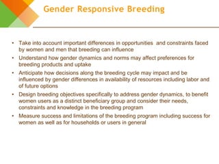 Design elements for gender-responsive breeding: The breeding cycle