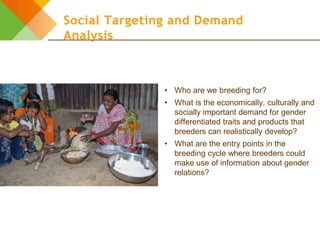 Design elements for gender-responsive breeding: The breeding cycle