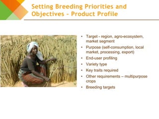 Design elements for gender-responsive breeding: The breeding cycle