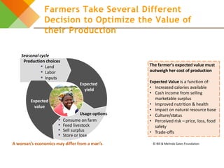 Design elements for gender-responsive breeding: The breeding cycle