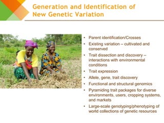 Design elements for gender-responsive breeding: The breeding cycle