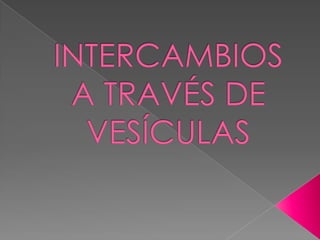 INTERCAMBIOS A TRAVÉS DE VESÍCULAS 