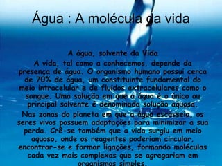 Água : A molécula da vida A água, solvente da Vida A vida, tal como a conhecemos, depende da presença de água. O organismo humano possui cerca de 70% de água, um constituinte fundamental do meio intracelular e de fluidos extracelulares como o sangue. Uma solução em que a água é o único ou principal solvente é denominada solução aquosa. Nas zonas do planeta em que a água escasseia, os seres vivos possuem adaptações para minimizar a sua perda. Crê-se também que a vida surgiu em meio aquoso, onde os reagentes poderiam circular, encontrar-se e formar ligações, formando moléculas cada vez mais complexas que se agregariam em organismos simples. 