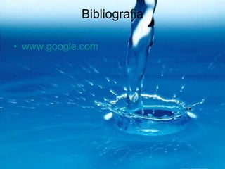 Bibliografia www.google.com 