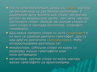 Stefan milovanovic Ivan Spasic | PPT