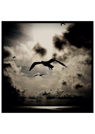 #dreaming of #seagull #flying #above a dark #sea at #sunset 