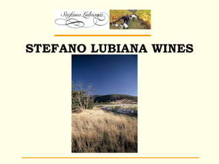 STEFANO LUBIANA WINES
 