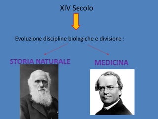 XIV Secolo
Evoluzione discipline biologiche e divisione :
 