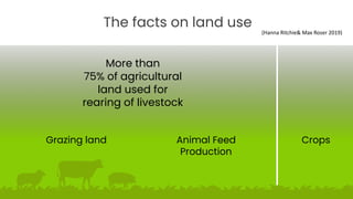 The facts on land use
More than
75% of agricultural
land used for
rearing of livestock
Animal Feed
Production
Grazing land...