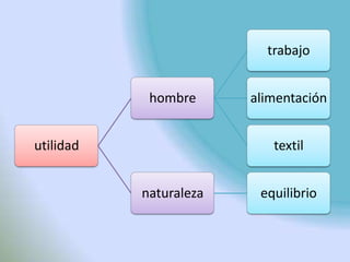 trabajo


            hombre      alimentación


utilidad                   textil


           naturaleza    equilibrio
 