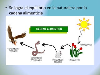 • Se logra el equilibrio en la naturaleza por la
  cadena alimenticia
 