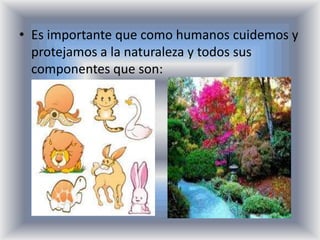 • Es importante que como humanos cuidemos y
  protejamos a la naturaleza y todos sus
  componentes que son:
 