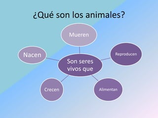 ¿Qué son los animales?
                 Mueren


Nacen                               Reproducen
                 Son seres
                 vivos que


        Crecen               Alimentan
 