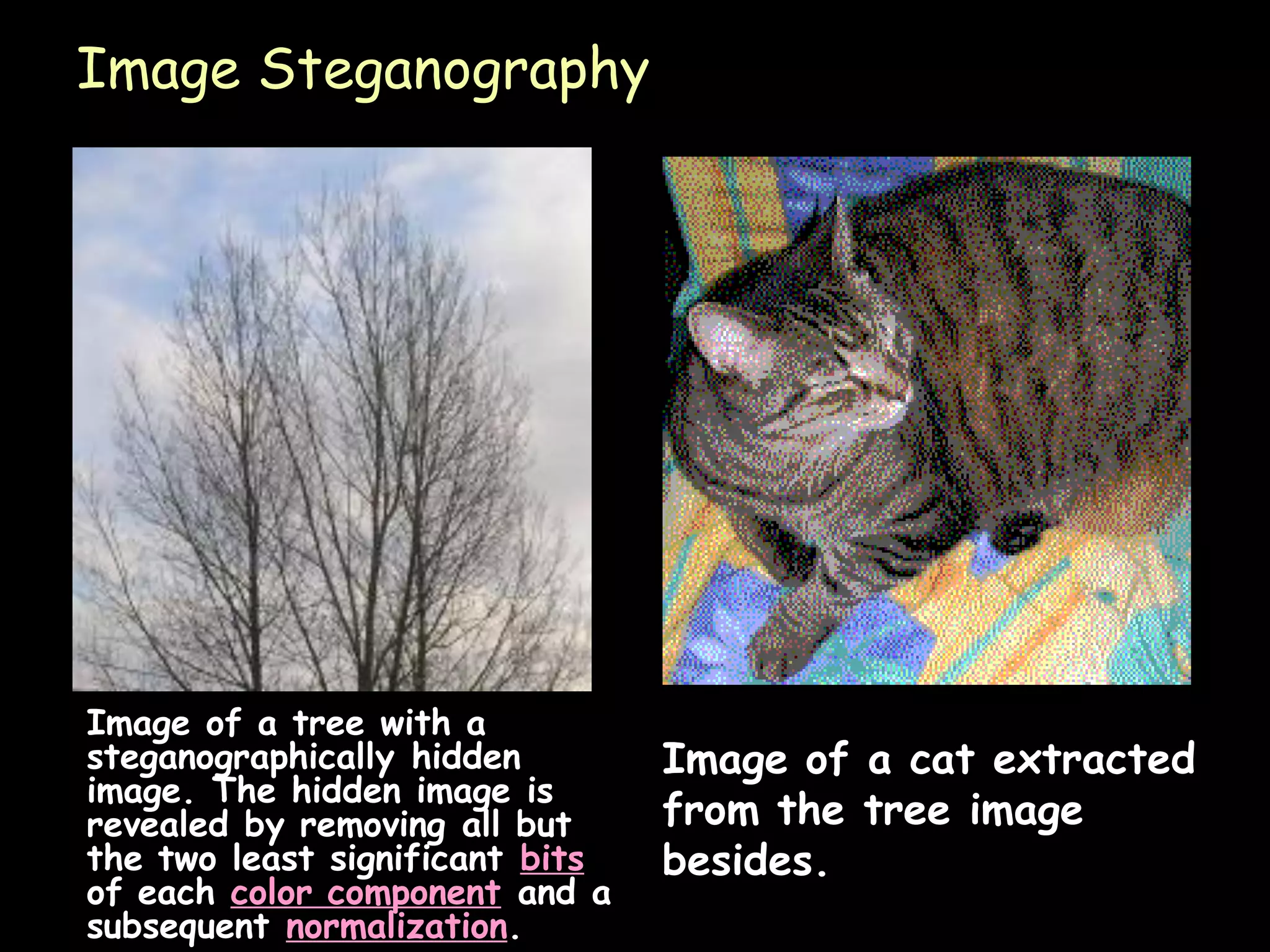 Image Steganography




Image of a tree with a
steganographically hidden        Image of a cat extracted
image. The hidden image is
revealed by removing all but     from the tree image
the two least significant bits   besides.
of each color component and a
subsequent normalization.                             Page 25
 
