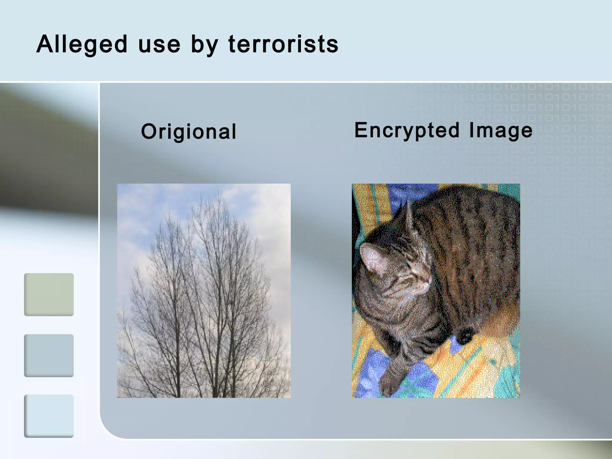 Alleged use by terrorists
Origional

Encrypted Image

 
