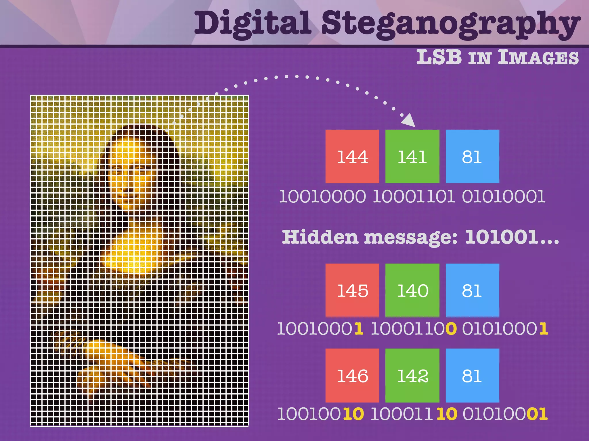 Digital Steganography
 
