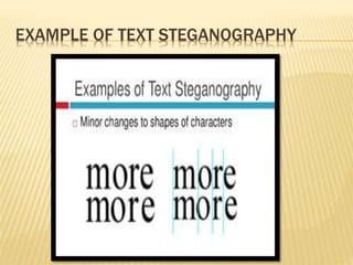 EXAMPLE OF TEXT STEGANOGRAPHY
 
