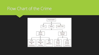 Flow Chart of the Crime
 
