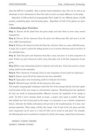 Steganography final report | PDF