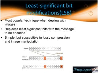 SteganographyonImage.ppt