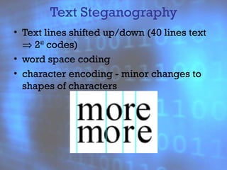 Steganography presentation | PPT