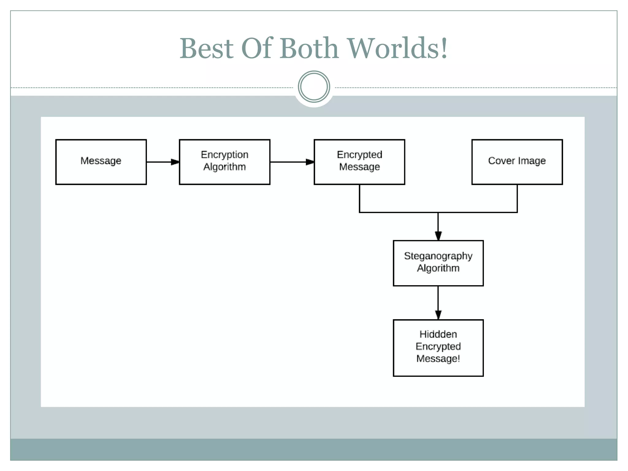 Best Of Both Worlds!
 