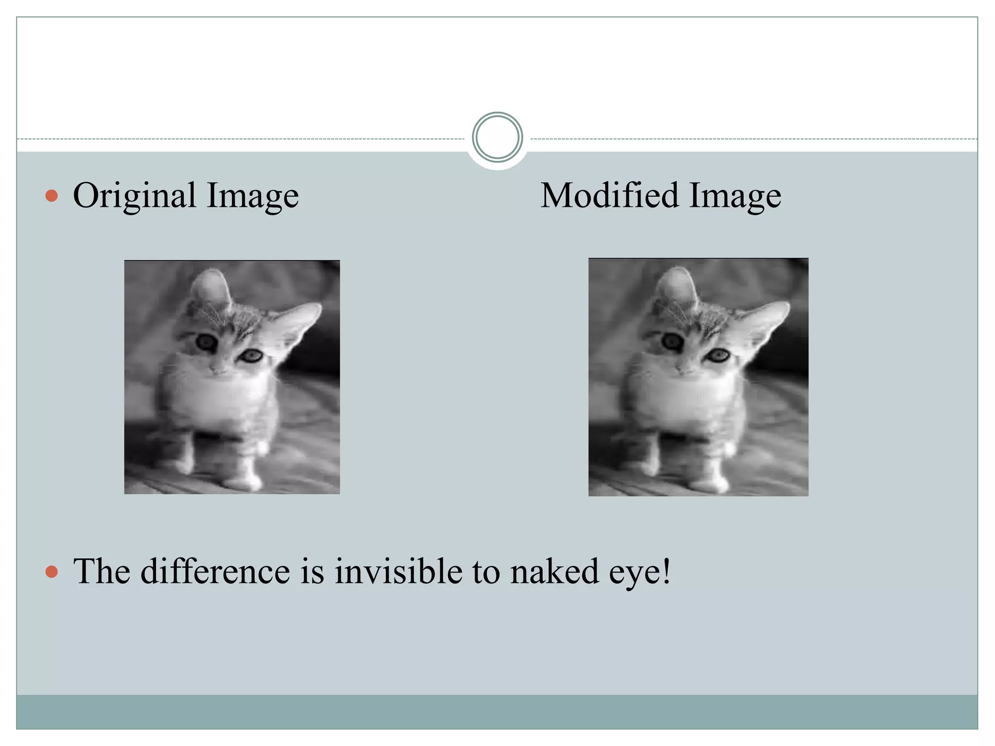  Original Image Modified Image
 The difference is invisible to naked eye!
 