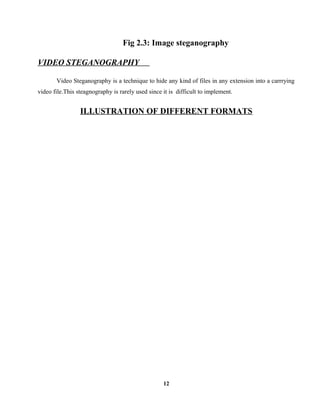 Fig 2.3: Image steganography
VIDEO STEGANOGRAPHY
Video Steganography is a technique to hide any kind of files in any extension into a carrrying
video file.This steagnography is rarely used since it is difficult to implement.
ILLUSTRATION OF DIFFERENT FORMATS
12
 