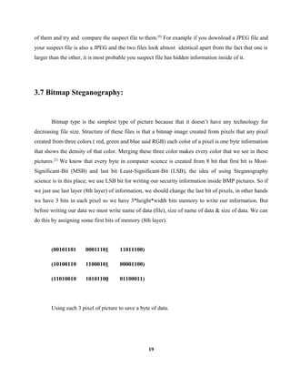 Steganography Engineering project report | DOC