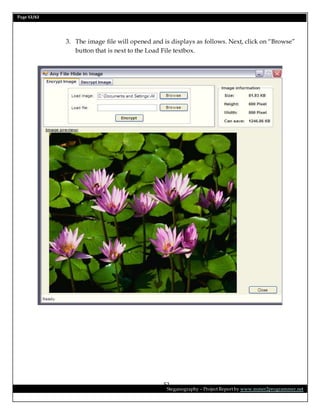 Page 52/62
Steganography – Project Report by www.mmer2programmer.net
52
3. The image file will opened and is displays as follows. Next, click on “Browse”
button that is next to the Load File textbox.
 