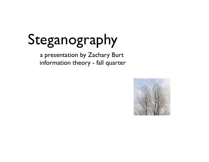 Master thesis steganography