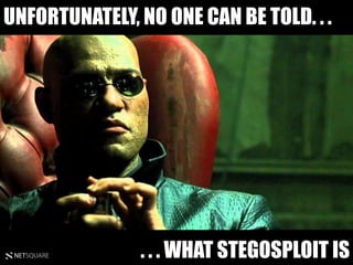NETSQUARE
UNFORTUNATELY, NO ONE CAN BE TOLD. . .
. . . WHAT STEGOSPLOIT IS
 