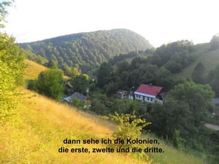 dann sehe ich die Kolonien,
die erste, zweite und die dritte.
 