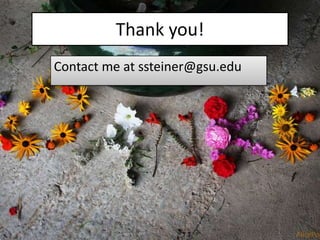 Thank you!
Contact me at ssteiner@gsu.edu
 
