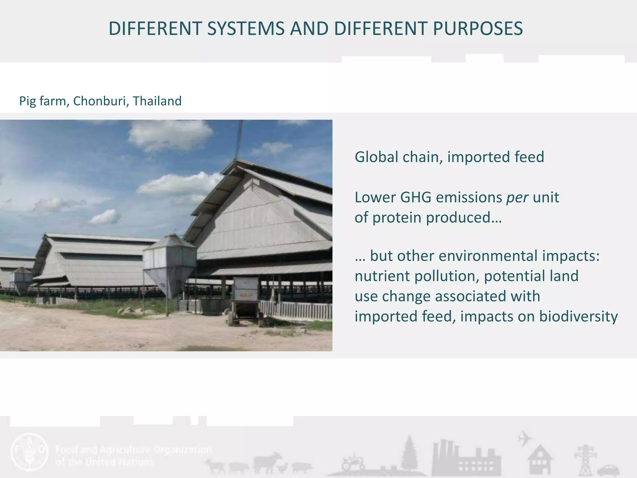 DIFFERENT SYSTEMS AND DIFFERENT PURPOSES 
Meeting/Workshop title • place and date 
11 
Global chain, imported feed 
Lower GHG emissions per unit 
of protein produced… 
… but other environmental impacts: 
nutrient pollution, potential land 
use change associated with 
imported feed, impacts on biodiversity 
Pig farm, Chonburi, Thailand 
 